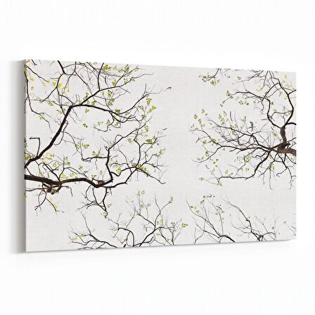 Olla 10887Y Ağaç Görseli Yatay Kanvas Tablo (Ölçü: 150X100)