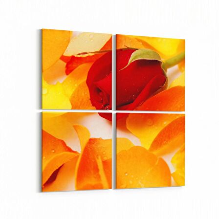 Olla 11616K4 Çiçek Görseli Kare 4'lü Kanvas Tablo (Ölçü: 145X145)
