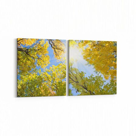 Olla 10963K2Y Ağaç Görseli Kare 2'li Yatay Kanvas Tablo (Ölçü: 145X70)