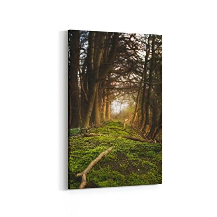Olla 14005D Doğa / Manzara Görseli Dikey Kanvas Tablo (Ölçü: 20X30)