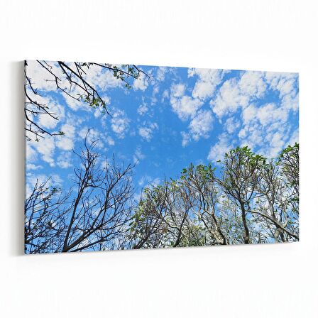 Olla 10803Y Ağaç Görseli Yatay Kanvas Tablo (Ölçü: 70X50)