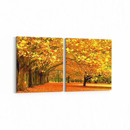 Olla 14088K2Y Doğa / Manzara Görseli Kare 2'li Yatay Kanvas Tablo (Ölçü: 125X60)