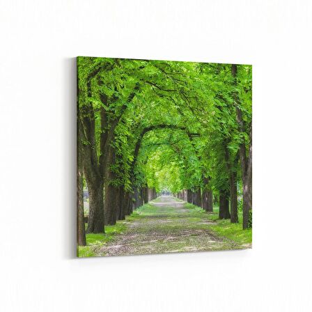 Olla 14389K Doğa / Manzara Görseli Kare Kanvas Tablo (Ölçü: 30X30)