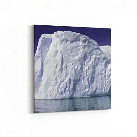 Olla 14126K Doğa / Manzara Görseli Kare Kanvas Tablo (Ölçü: 25X25)