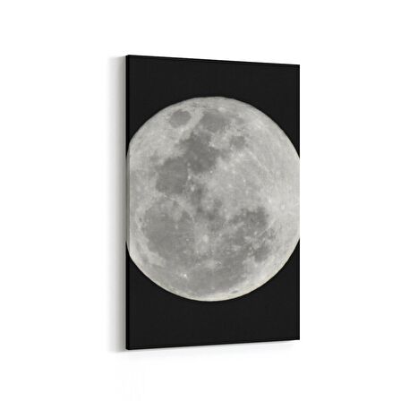 Olla 14869D Gece Gökyüzü Görseli Dikey Kanvas Tablo (Ölçü: 60X90)