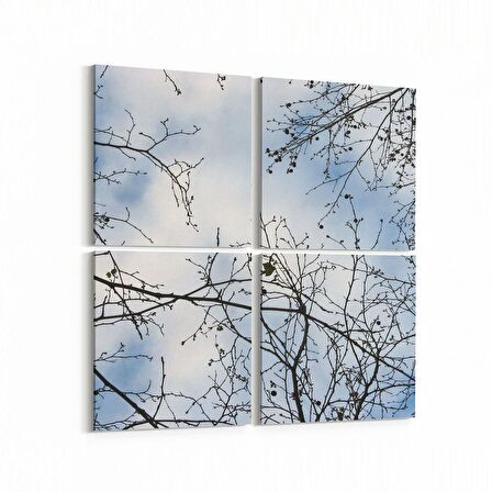 Olla 10927K4 Ağaç Görseli Kare 4'lü Kanvas Tablo (Ölçü: 65X65)