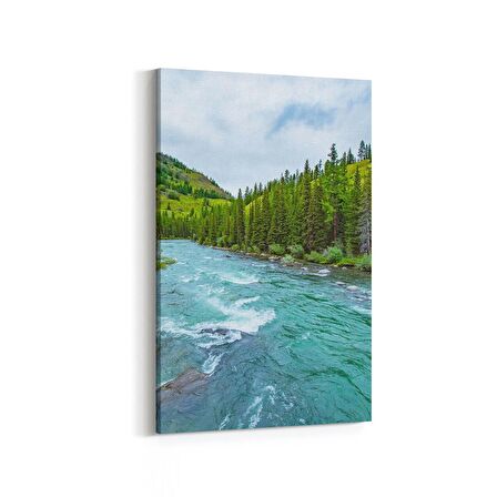 Olla 13482D Doğa / Manzara Görseli Dikey Kanvas Tablo (Ölçü: 60X90)