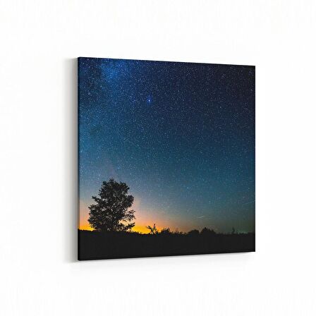 Olla 13731K Doğa / Manzara Görseli Kare Kanvas Tablo (Ölçü: 30X30)