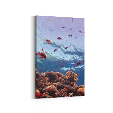 Olla 12059D Akvaryum / Balık Görseli Dikey Kanvas Tablo (Ölçü: 40X60)