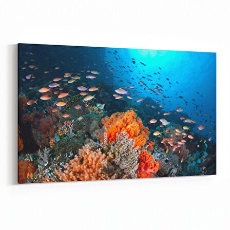 Olla 12079Y Akvaryum / Balık Görseli Yatay Kanvas Tablo (Ölçü: 120X80)