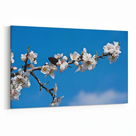 Olla 11052Y Ağaç Görseli Yatay Kanvas Tablo (Ölçü: 150X100)