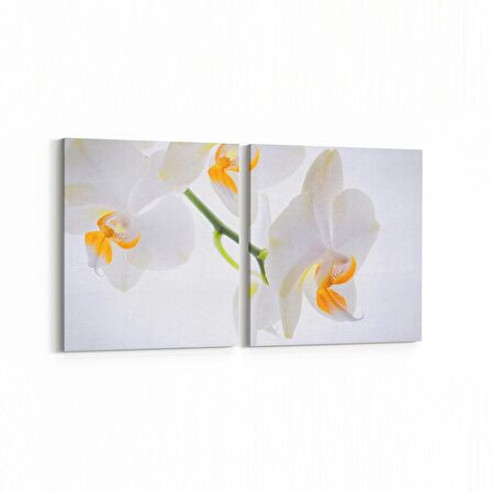 Olla 11707K2Y Orkide Çiçek Görseli 2'li Yatay Kanvas Tablo (Ölçü: 65X30)