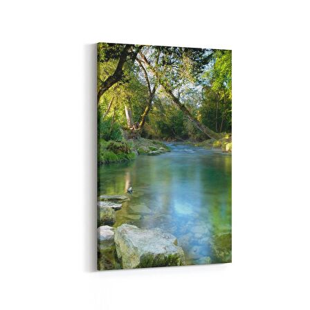 Olla 14611D Doğa / Manzara Görseli Dikey Kanvas Tablo (Ölçü: 70X105)