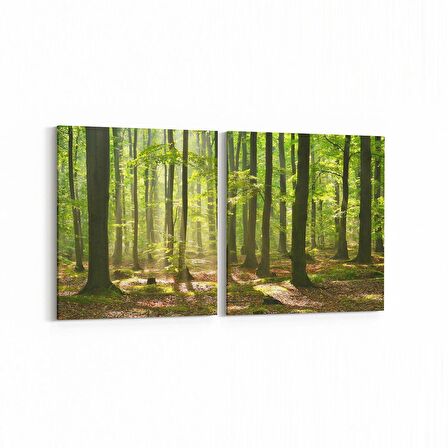 Olla 13593K2Y Doğa / Manzara Görseli Kare 2'li Yatay Kanvas Tablo (Ölçü: 65X30)