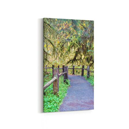 Olla 13305DD Doğa / Manzara Görseli Dikey Dar Kanvas Tablo (Ölçü: 40X80)