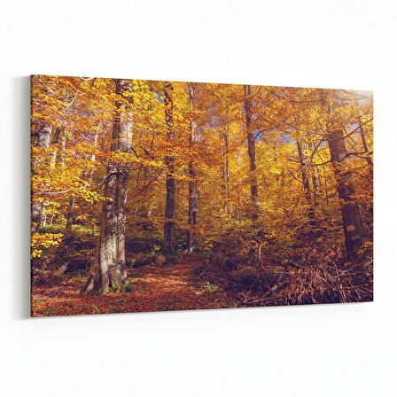 Olla 13551Y Doğa / Manzara Görseli Yatay Kanvas Tablo (Ölçü: 90X60)