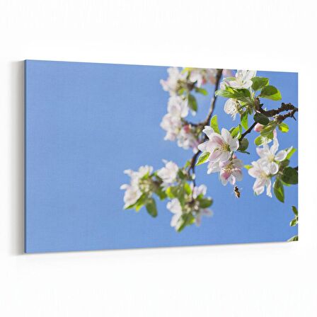 Olla 10676Y Ağaç Görseli Yatay Kanvas Tablo (Ölçü: 150X100)