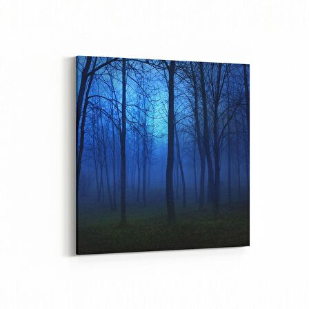 Olla 14492K Doğa / Manzara Görseli Kare Kanvas Tablo (Ölçü: 30X30)