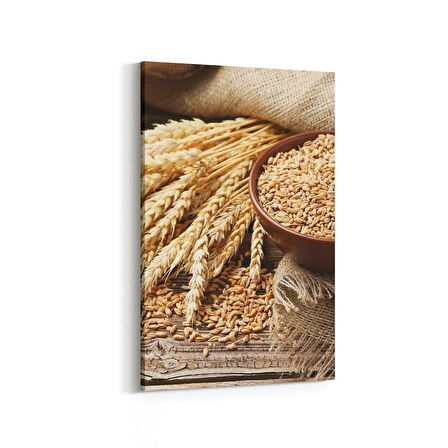 Olla 15150D Gıda Görseli Dikey Kanvas Tablo (Ölçü: 20X30)