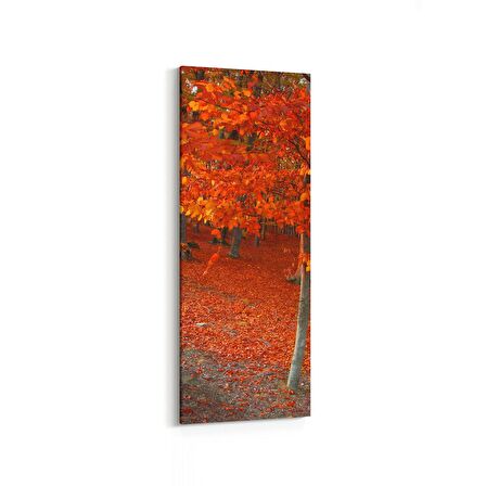 Olla 13335DI Doğa / Manzara Görseli Dikey İnce Kanvas Tablo (Ölçü: 40X120)