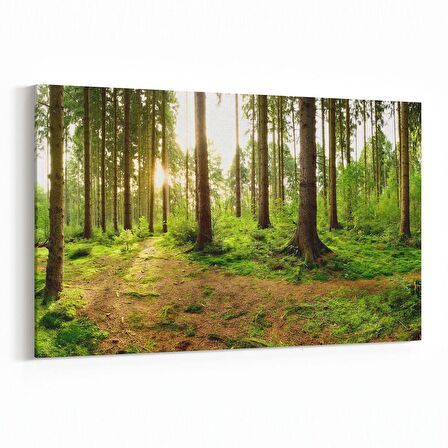 Olla 14535Y Doğa / Manzara Görseli Yatay Kanvas Tablo (Ölçü: 45X30)