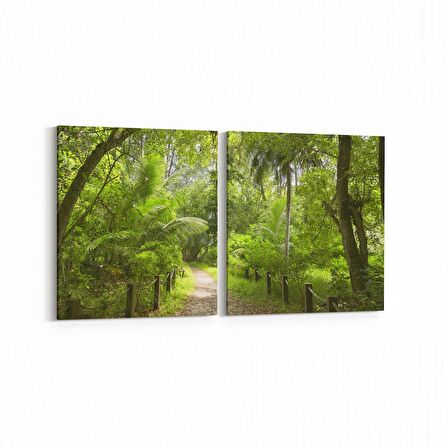 Olla 13428K2Y Doğa / Manzara Görseli Kare 2'li Yatay Kanvas Tablo (Ölçü: 145X70)
