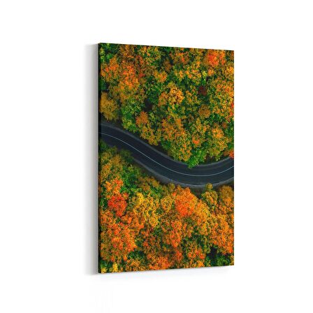 Olla 14467D Doğa / Manzara Görseli Dikey Kanvas Tablo (Ölçü: 60X90)