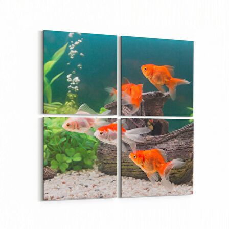 Olla 12138K4 Akvaryum / Balık Görseli Kare 4'lü Kanvas Tablo (Ölçü: 65X65)