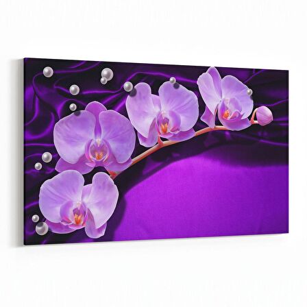 Olla 11665Y Orkide Çiçek Görseli Yatay Kanvas Tablo (Ölçü: 120X80)