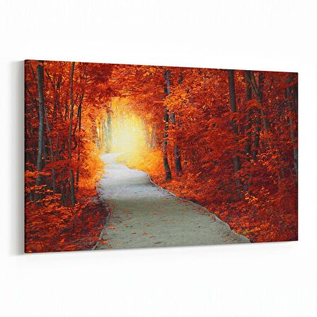 Olla 14102Y Doğa / Manzara Görseli Yatay Kanvas Tablo (Ölçü: 30X20)