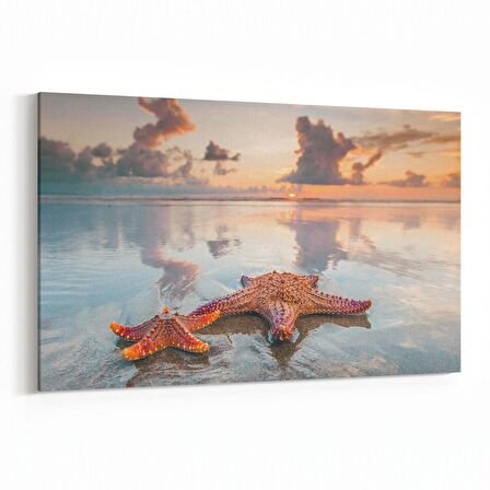 Olla 12970Y Deniz / Okyanus Görseli Yatay Kanvas Tablo (Ölçü: 90X60)