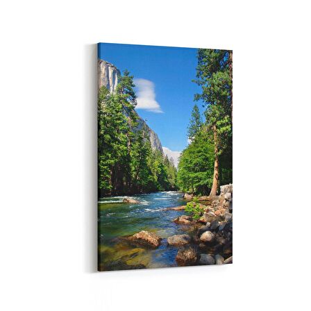 Olla 13641D Doğa / Manzara Görseli Dikey Kanvas Tablo (Ölçü: 60X90)