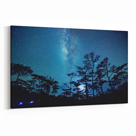 Olla 14712Y Gece Gökyüzü Görseli Yatay Kanvas Tablo (Ölçü: 30X20)