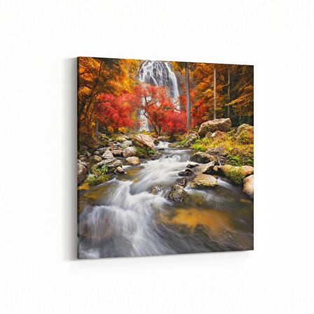 Olla 13769K Doğa / Manzara Görseli Kare Kanvas Tablo (Ölçü: 100X100)