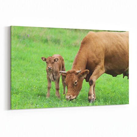 Olla 12667Y Hayvanlar Alemi Görseli Yatay Kanvas Tablo (Ölçü: 150X100)