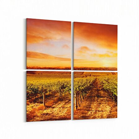 Olla 16018K4 Günbatımı Görseli Kare 4'lü Kanvas Tablo (Ölçü: 65X65)