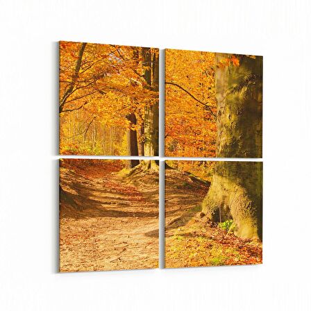 Olla 14344K4 Doğa / Manzara Görseli Kare 4'lü Kanvas Tablo (Ölçü: 65X65)