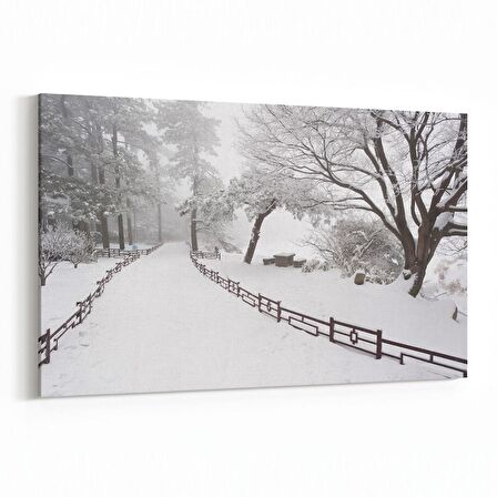 Olla 13257Y Doğa / Manzara Görseli Yatay Kanvas Tablo (Ölçü: 30X20)