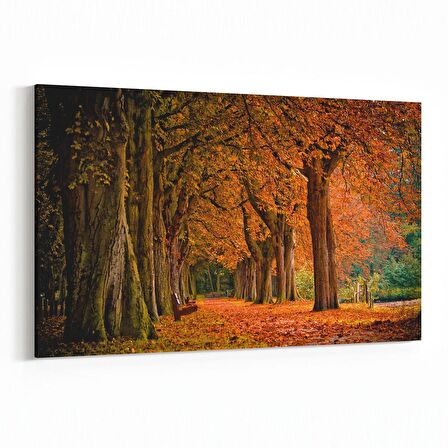 Olla 13607Y Doğa / Manzara Görseli Yatay Kanvas Tablo (Ölçü: 30X20)