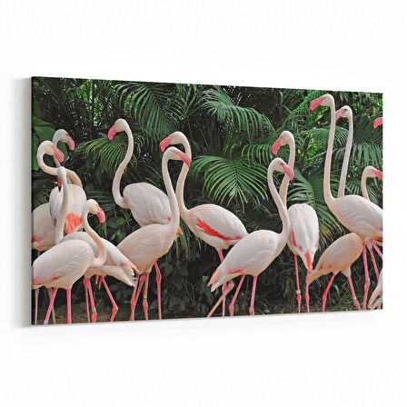 Olla 12541Y Hayvanlar Alemi Görseli Yatay Kanvas Tablo (Ölçü: 30X20)