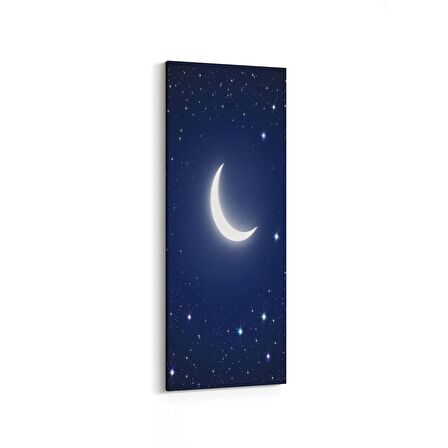 Olla 14829DI Gece Gökyüzü Görseli Dikey İnce Kanvas Tablo (Ölçü: 40X120)