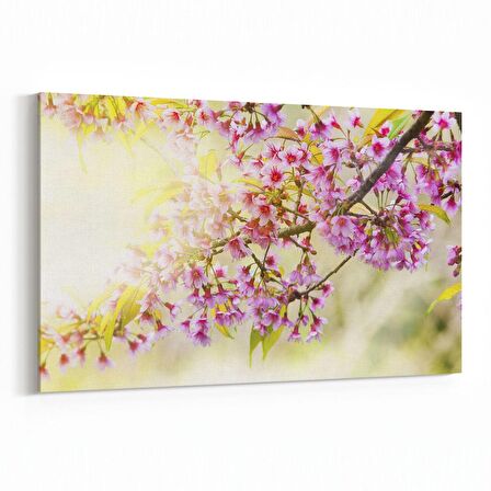 Olla 10551Y Ağaç Görseli Yatay Kanvas Tablo (Ölçü: 30X20)