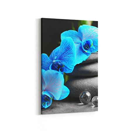 Olla 17081D Spa / Masaj Görseli Dikey Kanvas Tablo (Ölçü: 100X150)