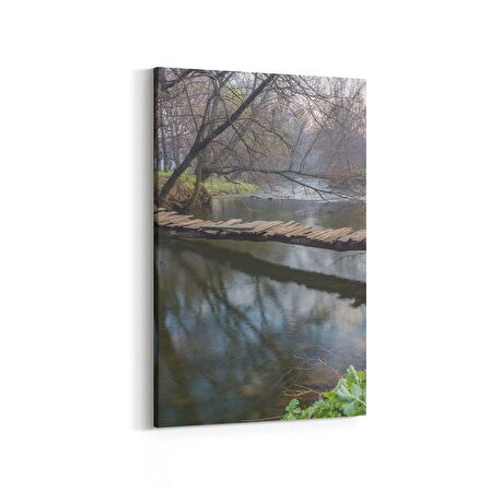 Olla 13662D Doğa / Manzara Görseli Dikey Kanvas Tablo (Ölçü: 80X120)