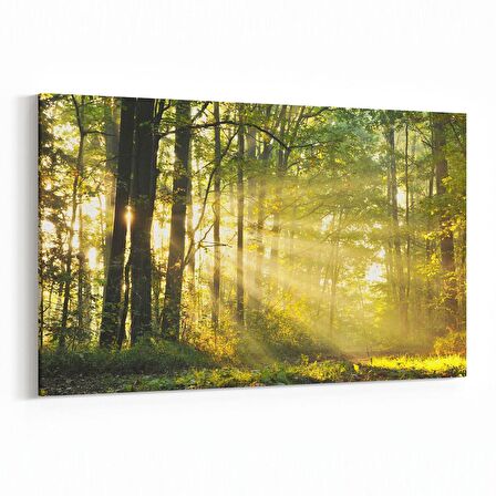 Olla 13268Y Doğa / Manzara Görseli Yatay Kanvas Tablo (Ölçü: 45X30)