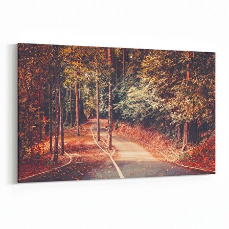 Olla 14454Y Doğa / Manzara Görseli Yatay Kanvas Tablo (Ölçü: 90X60)