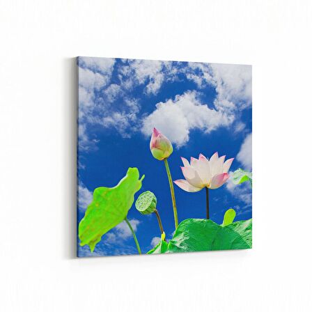 Olla 10641K Ağaç Görseli Kare Kanvas Tablo (Ölçü: 25X25)