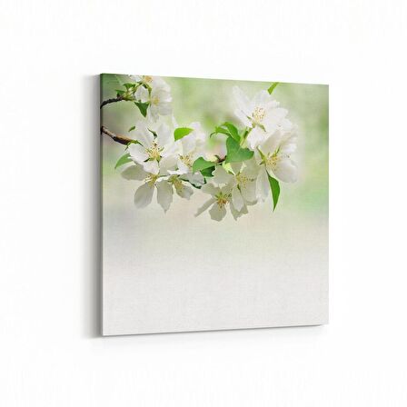 Olla 11752K Orkide Çiçek Görseli Kare Kanvas Tablo (Ölçü: 100X100)