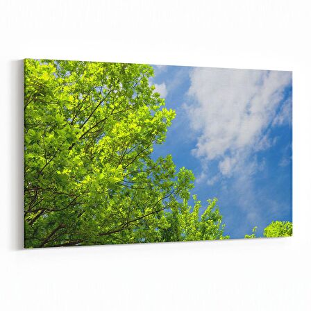Olla 10975Y Ağaç Görseli Yatay Kanvas Tablo (Ölçü: 120X80)