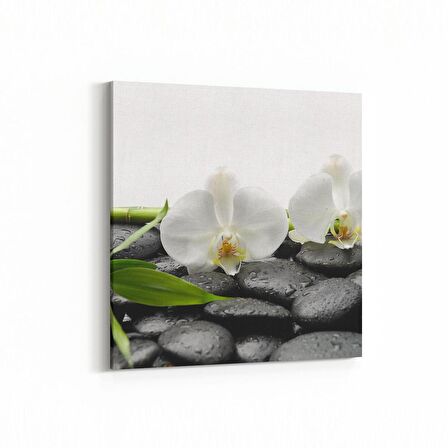 Olla 17106K Spa / Masaj Görseli Kare Kanvas Tablo (Ölçü: 30X30)